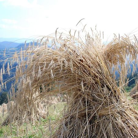 Farm Stay Rotovnik - Plesnik スロヴェニ・グラデツ エクステリア 写真