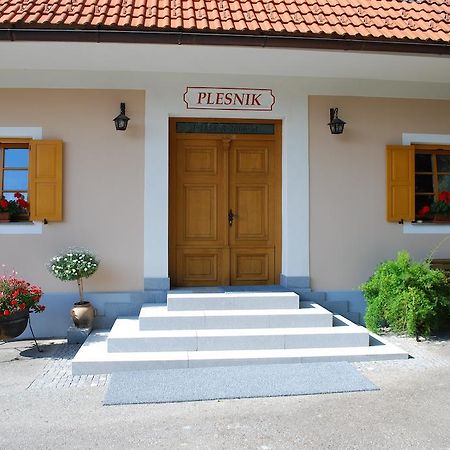 Farm Stay Rotovnik - Plesnik スロヴェニ・グラデツ エクステリア 写真