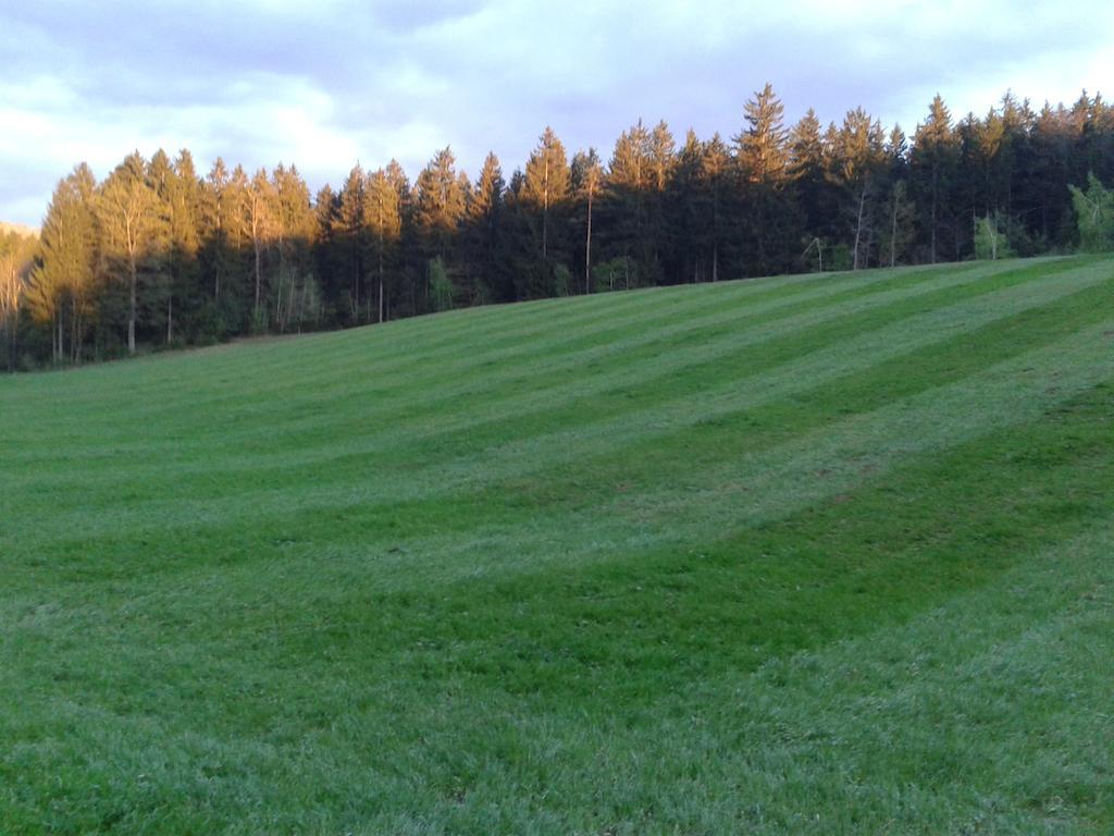 Farm Stay Rotovnik - Plesnik スロヴェニ・グラデツ エクステリア 写真