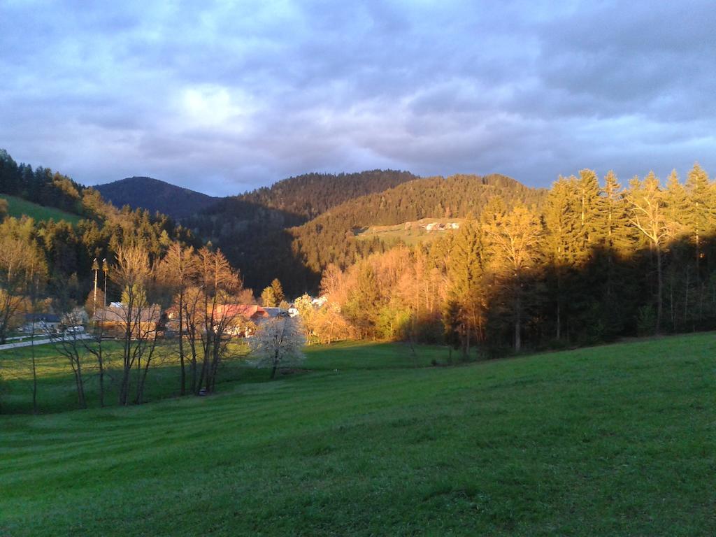 Farm Stay Rotovnik - Plesnik スロヴェニ・グラデツ エクステリア 写真